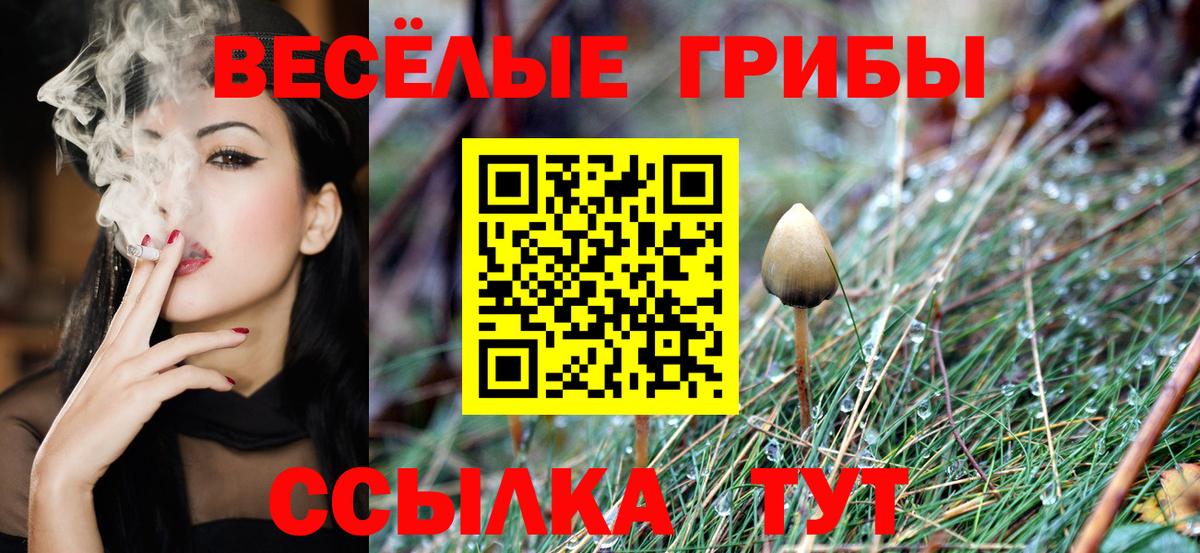 Псилоцибиновые грибы ЛСД  Галлюциногенные грибы мицелий  Мценск  Вход с VPN 